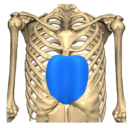 Front view — custom implant in place